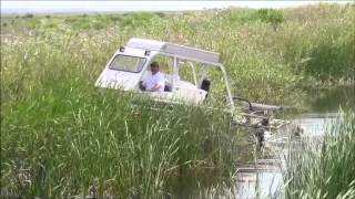 Marsh Master MM2 Cutting Phragmites in Wetland [upl. by Selia]