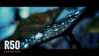 Canon EOS R50 Cinematic Footage [upl. by Lepp671]