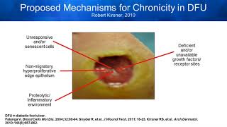 CollagenORC Dressings Restoring Normal Healing Trajectory through Complete Protease Management [upl. by Russel501]