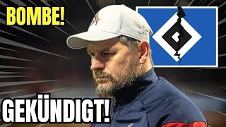 BAUMGARTAUS HSV trennt sich von CHEFTRAINER  hamburger sv nachrichten [upl. by Annirak698]