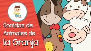 Animales de la Granja  Onomatopeyas [upl. by Einohpets]