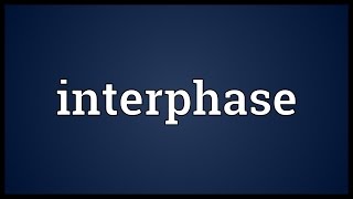 Interphase Meaning [upl. by Bisset]