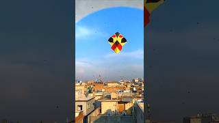 Big kite Flying  6 Tawa  How to fly kite  Kite flying tips and tricks [upl. by Bromleigh126]