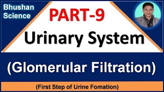 PART 9 Urinary System  Glomerular Filtration  B Pharm GPAT Nursing Medical [upl. by Mitzie609]