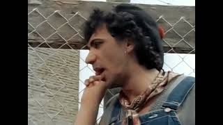 Dexys Midnight Runners  Come On Eileen Upscaled [upl. by Nesilla571]