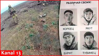 First video of killed North Korean soldiers at frontline Ukrainian army shows footage from Selidovo [upl. by Hernando]