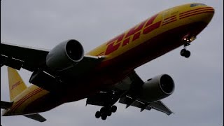 DHL 777 Knocks Cameraman Off Balance with Wake Turbulence [upl. by Fianna]