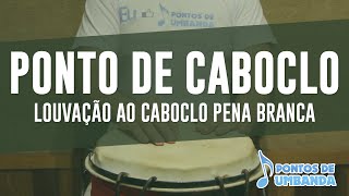 Ponto de Caboclo  Louvação ao Caboclo Pena Branca [upl. by Leile]