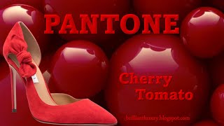 ♦PANTONE Fashion Color Cherry Tomato [upl. by Llirret]