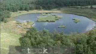 Aerial shots Dwingeloo National Park The Netherlands [upl. by Giglio]