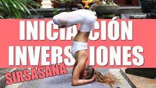 CÓMO HACER SIRSASANA 💛Parado de cabeza Inversiones DIA 2 [upl. by Lehcyar]