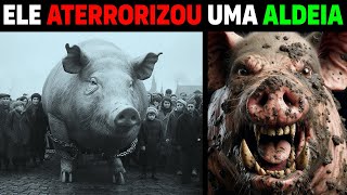 Este PORCO manteve toda uma ALDEIA COM MEDO [upl. by Annoda]