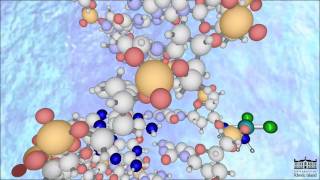 The Mechanism of Cisplatin New HD [upl. by Adelaida894]