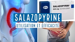 SALAZOPYRINE  Sulfasalazine  500 mg [upl. by Asa]