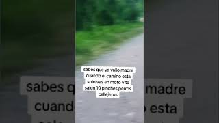 Jauría de perros callejeros vs motociclista 😱 suscribete para más videos [upl. by Jobe]