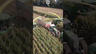 Retour sur ce chantier densilage XXL filmé en Mayenne en 2021 🌽 farming agriculture [upl. by Anoirtac]