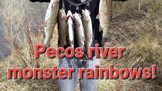 Pecos River Fishing DanDiesels Fish Mish [upl. by Atsev]