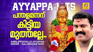 പന്തളമന്നന് കിട്ടിയ മുത്തല്ലേ  Kalabhavan Mani Hit Ayyappa Video Song  Ambilippoovalle Ayyappan [upl. by Ahsaei]