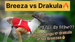 Drakula ਵੀ ਅੱਤ ਕਰਾਉਦਾ।Breeza ਵੀ ਵਾਲੀ ਤੇਜ ਆ🔥😳 [upl. by Savadove115]