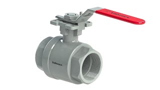 Valworx Stainless Steel Ball Valves [upl. by Alodi]