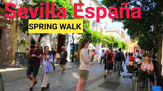 🇪🇸 Spain Spring Walk Seville Walking Tour Santa Cruz [upl. by Kinom]