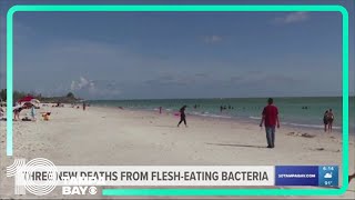 New deaths this week from rare flesheating bacteria [upl. by Silloc]