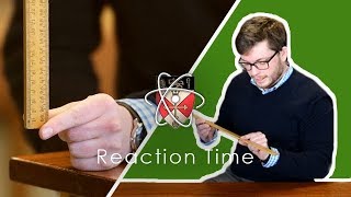 Reaction Time  GCSE Science Required Practical [upl. by Eecyaj]