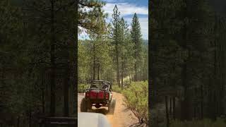 This will never get old offroad jeep cj wfo [upl. by Nove]