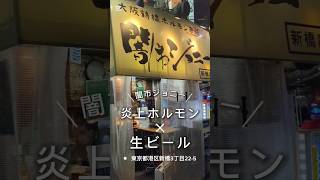 新橋駅前にある「闇市ジョニー新橋店」にてサクッと焼肉・炎上ホルモンと生ビールです。闇市ジョニー 新橋グルメ 新橋ディナー 新橋居酒屋 新橋焼肉 くぼゆう食べ歩きレビュー くぼゆう [upl. by Nesahc510]