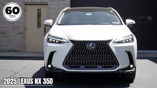 2025 Lexus NX 350 Review  The BEST Subcompact Luxury SUV [upl. by Borroff]