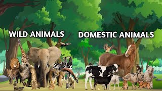 Domestic and wild animals name Domestic and wild animals [upl. by Siriso]