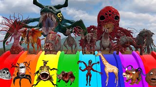 Long Slide Game With All New Zoochosis Mutants  in Garrys Mod  2 [upl. by Paco126]