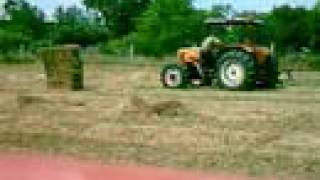 tractor Renault Palés baling with Claas [upl. by Aivul]