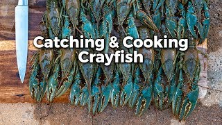 Crayfish Catch em and Cook em [upl. by Weiss864]