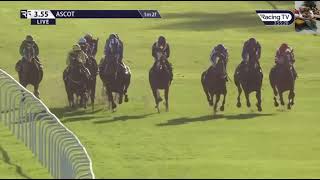 Race 5 1555 Ascot 19 Oct 2024 Qipco Champion Stakes Group 1  British Champions Middle Distance [upl. by Gareth]