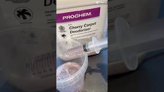 Carpet Cleaning with Prochem 🧼 carpetextraction carpetwashing hotwaterextraction [upl. by Anirdnajela]