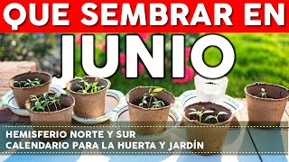 Calendario de Siembra 2022 Que sembrar en JUNIO en el Huerto de Primavera y de Otoño [upl. by Frisse]