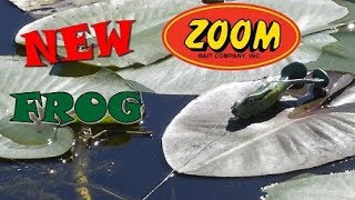 New Zoom Frog Review [upl. by Dew297]