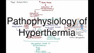 Hyperthermia Pathophysiology [upl. by Parris]