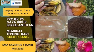 Membuat tepung KULIT pisang METODE KERING  Bahan bioplastik pisang bioplastics kulitpisang [upl. by Il69]