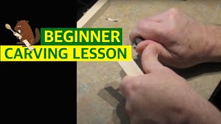 Beginner Woodcarving  Basic Cuts [upl. by Annayk]