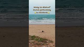 song mangli shivayya beach krishnapatnam [upl. by Yentrok]