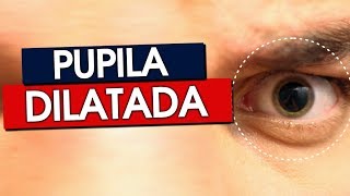 PORQUE A PUPILA DILATA [upl. by Benedict]