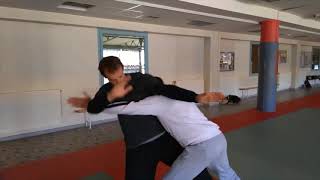 Tim Cartmell Sun style Bagua Double Palm Change [upl. by Veronika106]