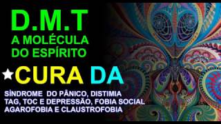 DMT a molécula do espírito dimetiltriptamina N dimetiltriptamina [upl. by Aldric]