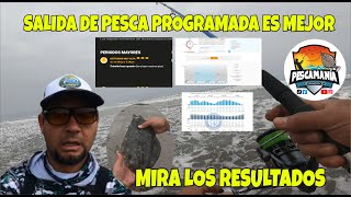 ¿COMO PROGRAMAR TU SALIDA DE PESCA EN 2 MINUTOS MIRA los RESULTADOS INCREÍBLE [upl. by Kei]