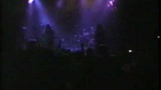 Type O Negative  Too Late Frozen Live 1997 [upl. by Maxi645]