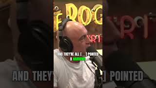 Joe Rogan amp Paul Rosolie Discuss Uncontacted Tribes  JRE 2209 [upl. by Eirret769]