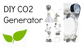 DIY CO2 Generator [upl. by Wall]