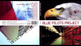 Blue Pilots Project  Gadfly [upl. by Harlie]